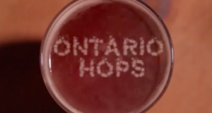 Ontario Hops, put the hops into Ontario craft beer